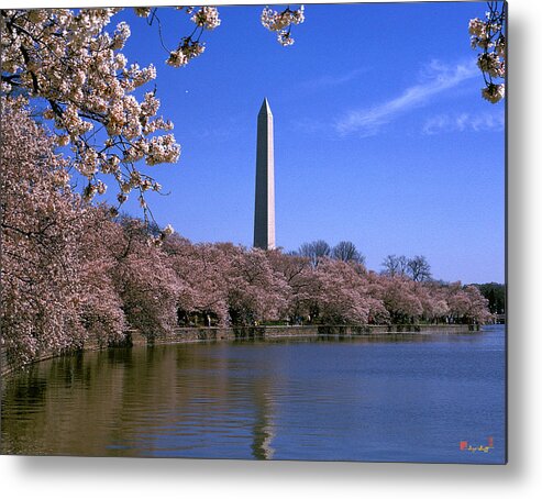 Scenic Metal Print featuring the photograph Cherry Blossoms on the Tidal Basin 15J by Gerry Gantt