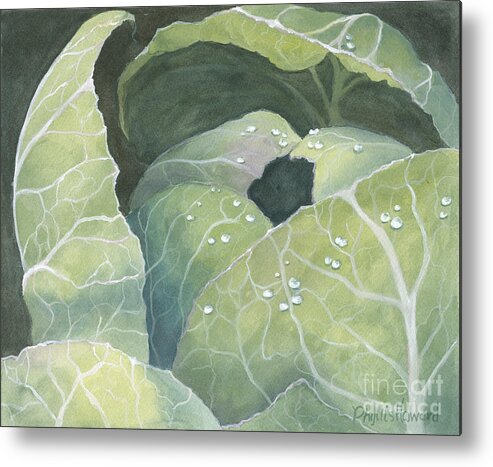Cabbage Metal Print featuring the painting Cold Crop by Phyllis Howard