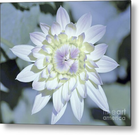 Flowers Metal Print featuring the photograph Color Me by Merle Grenz
