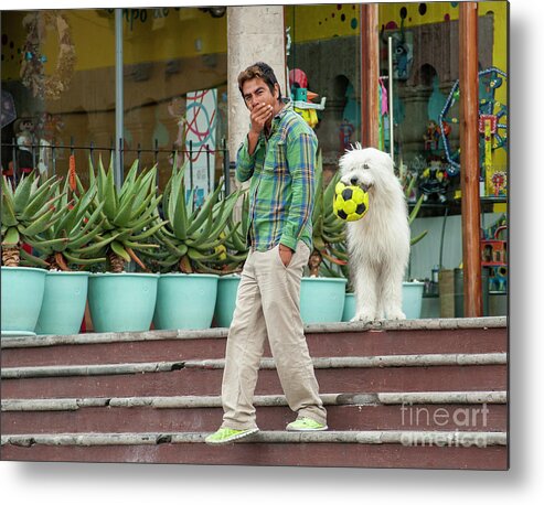 Dog Metal Print featuring the photograph Come on and Play by Barry Weiss