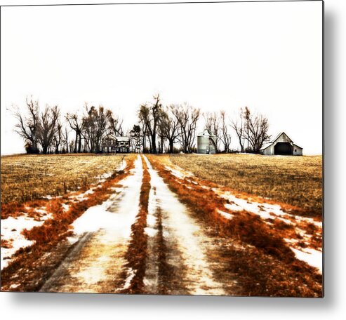 Barn Metal Print featuring the photograph Coming Home by Julie Hamilton