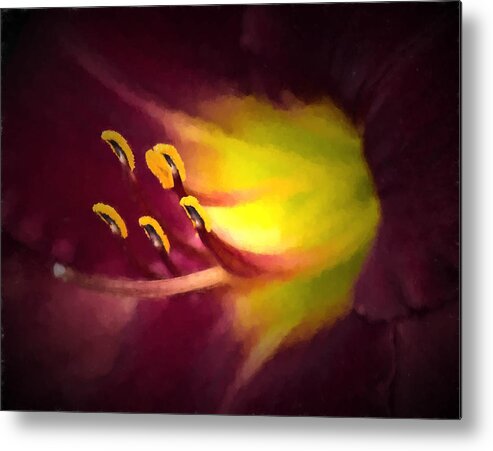 Lily Metal Print featuring the photograph Contact by Cathy Donohoue