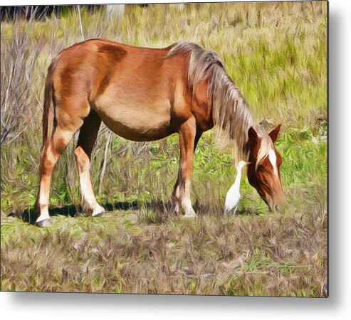 Scenic Metal Print featuring the painting Corolla's Wild Horses by Joan Reese