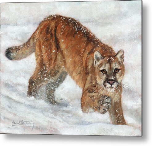 Cougar Metal Print featuring the painting Cougar In The Snow by David Stribbling