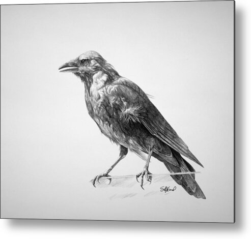 Crow Metal Print featuring the drawing Crow Drawing by Steve Goad
