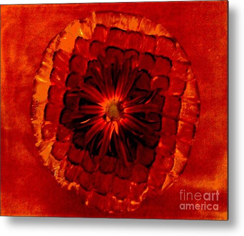 Photo Metal Print featuring the photograph Daisy Red Abstract by Marsha Heiken