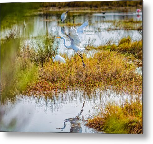 Birds Metal Print featuring the photograph Departure by John M Bailey