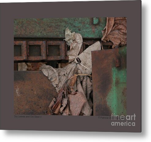 Abstract Metal Print featuring the photograph Dry Leaves and Old Steel-V by Patricia Overmoyer