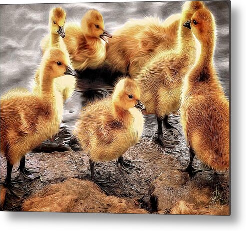 Ducks Metal Print featuring the digital art Ducklings by Pennie McCracken