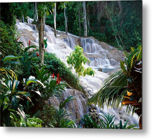 Jamaica Metal Print featuring the photograph Dunn's River Falls Jamaica by Cliff Wassmann