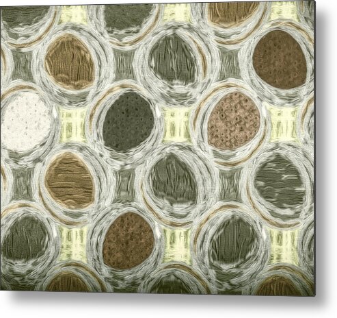 Digital Painting Metal Print featuring the painting Earthtoned Textured Circles by Bonnie Bruno