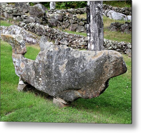 Elisworth Metal Print featuring the photograph Elisworth Rock Garden Whale by Arvin Miner