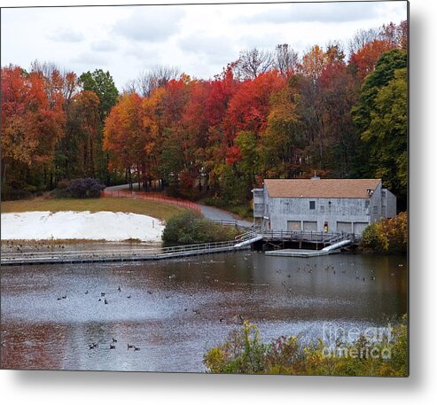 Nature Metal Print featuring the photograph Fall at Schooley's Mountain by Robert Pilkington