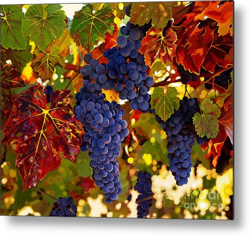 Grapes Metal Print featuring the painting Fall Grapevines by Jackie Case