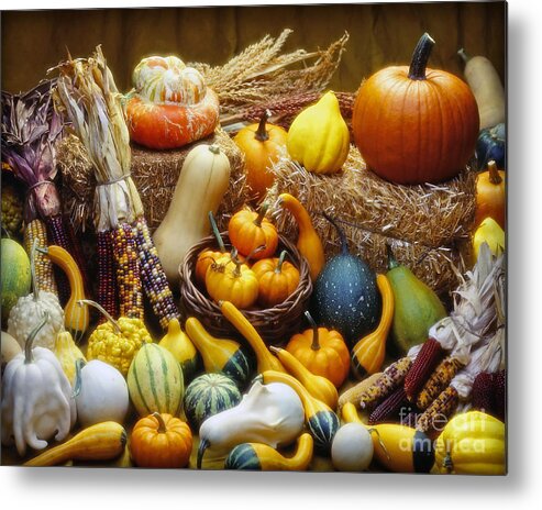 Harvest Metal Print featuring the photograph Fall Harvest by Martin Konopacki