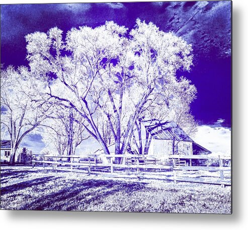 Emaw Metal Print featuring the photograph Farm in Suburbia with Wildcat Flare by Michael Oceanofwisdom Bidwell