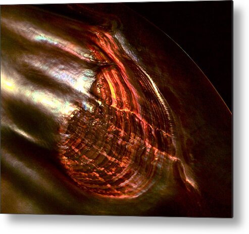 Browns Metal Print featuring the photograph Firestorm by Rona Black