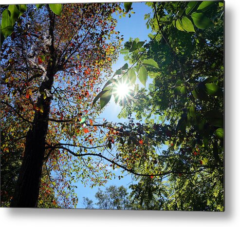 Fall Metal Print featuring the photograph First Color of Fall by Katy Hawk