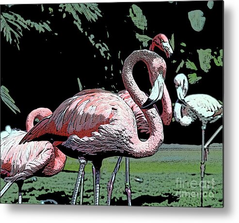 Pink Metal Print featuring the photograph Flamingos I by Jim And Emily Bush