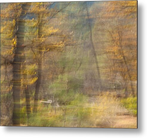 Autumn Metal Print featuring the photograph Fleeting Autumn by Denise Dethlefsen