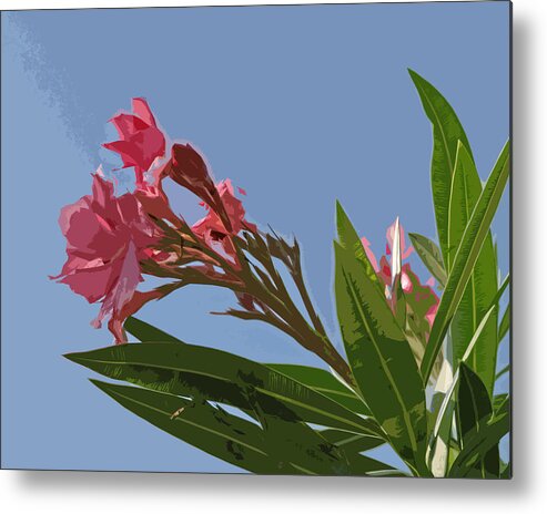 Oleander Metal Print featuring the painting Florida Pink Oleander by Allan Hughes