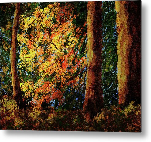 Fall Colors Metal Print featuring the digital art Forest Fall Colors by Ken Taylor