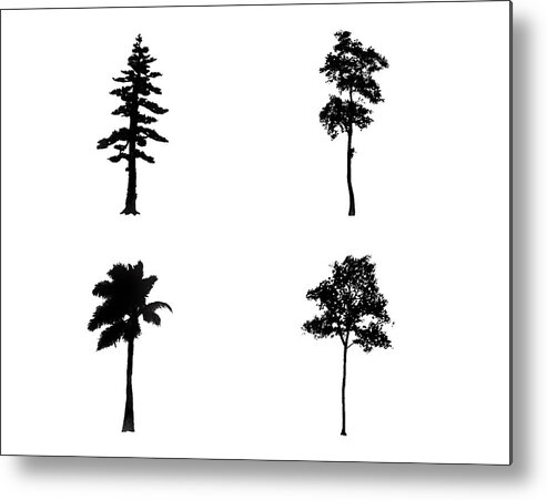 Tree Metal Print featuring the digital art Four Tall Thin Trees by Roy Pedersen