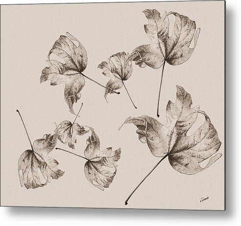 Dancing Leaves Metal Print featuring the photograph Free On The Breeze by I'ina Van Lawick