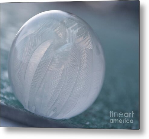 Soap Bubble Metal Print featuring the photograph Frozen Soap Bubble -Georgia by Adrian De Leon Art and Photography