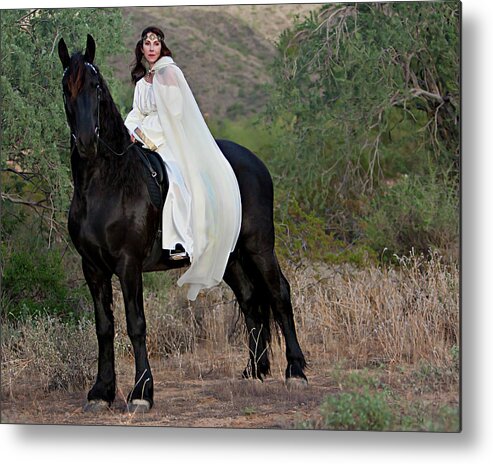 Friesian Metal Print featuring the photograph Galant by Jean Hildebrant