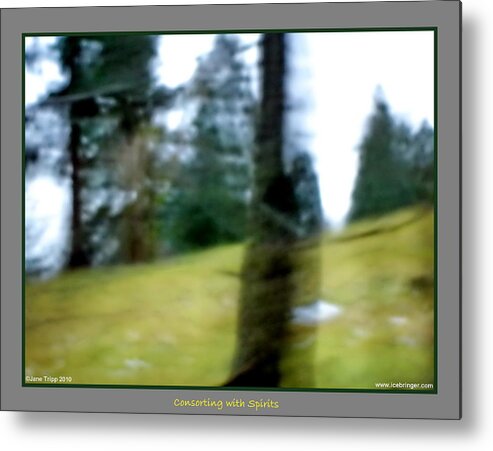 Ghost Metal Print featuring the photograph Ghost Behind Tree by Jane Tripp