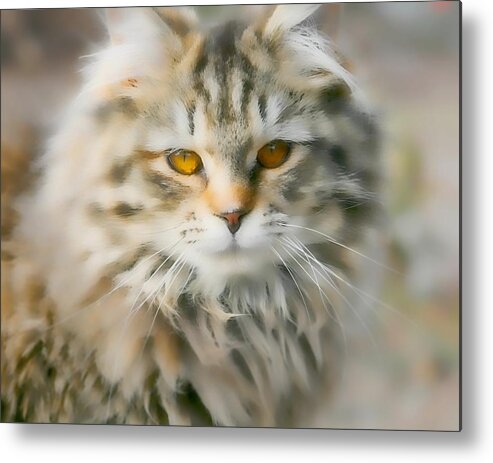 Cat Metal Print featuring the photograph Goldie Golden Eyes by Cathy Harper