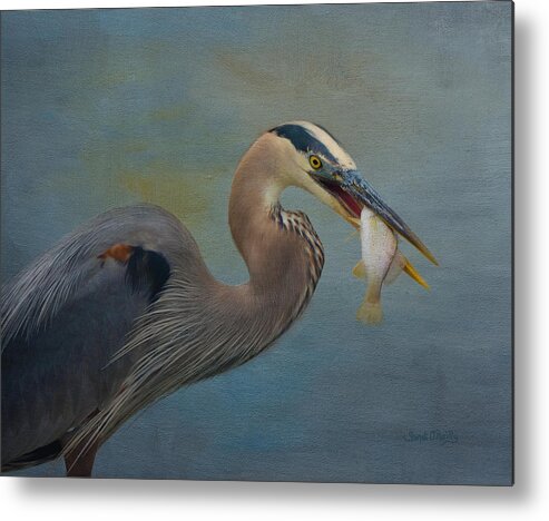 Great Blue Heron Metal Print featuring the photograph Great Blue Heron And Catch by Sandi OReilly