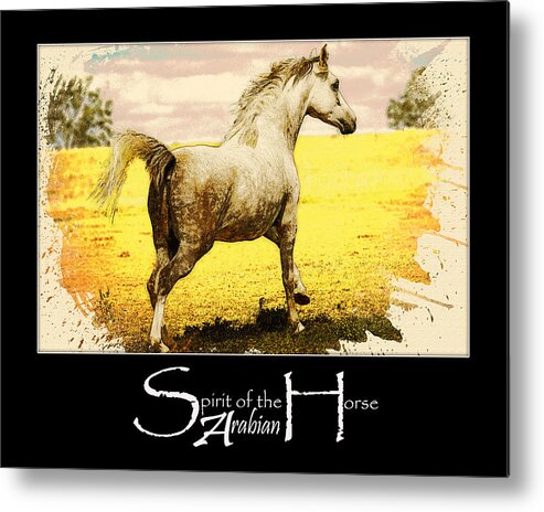 Animal Metal Print featuring the digital art Grey Mare Galloping by Janice OConnor