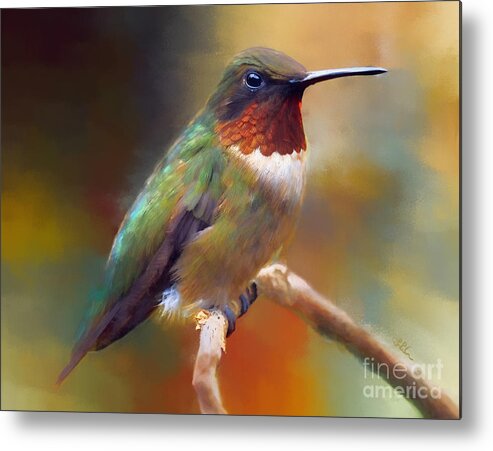 Hummingbird Metal Print featuring the painting Handsome Hummingbird by Tina LeCour