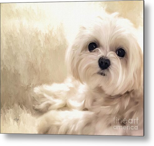 Maltese Metal Print featuring the digital art Hoping For A Cookie by Lois Bryan