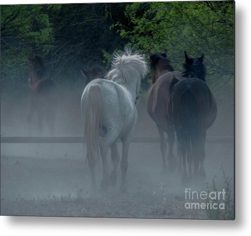 Horse Metal Print featuring the photograph Horse 8 by Christy Garavetto