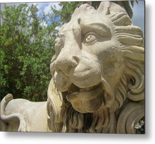 Alcazars Metal Print featuring the photograph How Loud Is A Lion by JAMART Photography