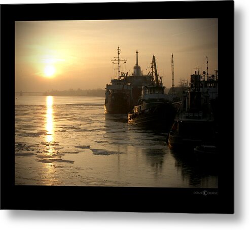 Boat Metal Print featuring the photograph Huddled Boats by Tim Nyberg