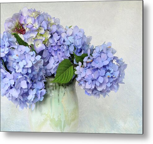 Floral Metal Print featuring the photograph Hydrangea 1 by Karen Lynch