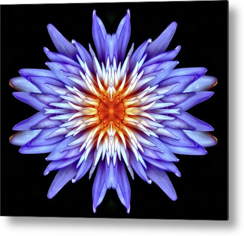 Hypnotic Metal Print featuring the photograph Hypnotic #1 by Wes and Dotty Weber