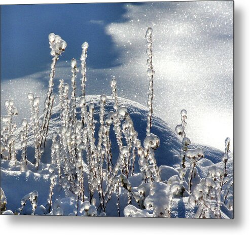 Icy Metal Print featuring the photograph Icy world by Doris Potter
