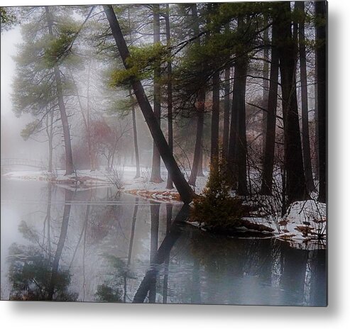 Crandall Park Metal Print featuring the photograph In a fog by Kendall McKernon