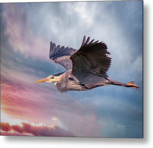 Oregon Metal Print featuring the photograph Into the Wild by Bill Posner