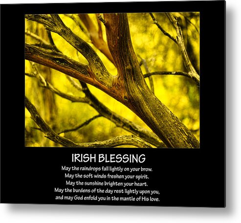 Irish Blessing Metal Print featuring the photograph Irish Blessing by Bonnie Bruno