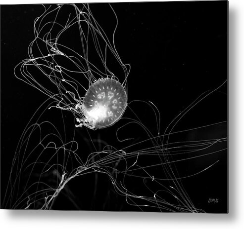 Jellyfish Metal Print featuring the photograph Jelly Fish I BW by David Gordon