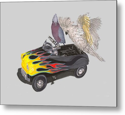 Tee Shirt Watercolor Art Of Julies Pet Parrots Playing In A Restored Vintage Peddle Car Metal Print featuring the painting Julies Kids by Jack Pumphrey