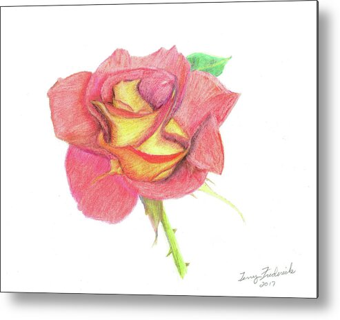 Rose Metal Print featuring the drawing Ketchup and Mustard Rose by Terry Frederick