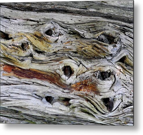 Tree Metal Print featuring the photograph Knotted Beauty by Lynda Lehmann