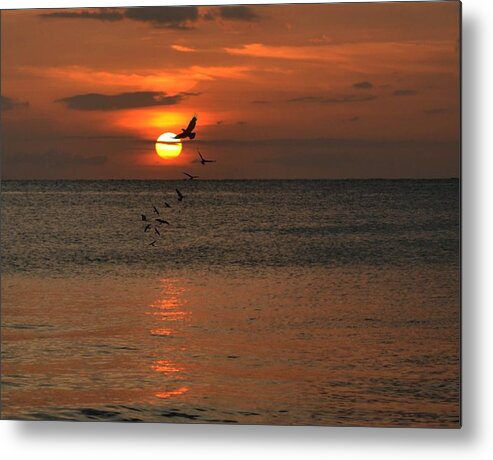 Sunset Metal Print featuring the photograph Last Light by Carolyn Mickulas